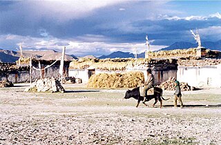<span class="mw-page-title-main">Tingri County</span> County in Tibet, China