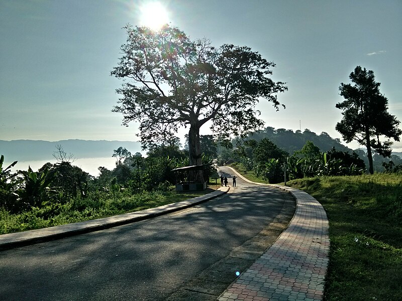 File:Road through Sajek.jpg