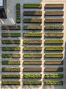 Roof garden which highlights a roof that uses garden boxes which can be a more economical solution for a green roof Rooftop farm at the Essex (65787p).jpg