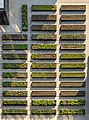 Image 86Rooftop farm on the Lower East Side