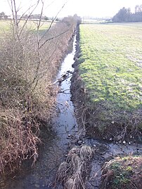 Marchais-Beton, pont de la D 57 (amont), 4 mars 2013, champ sec.