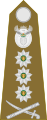 Lieutenant general[49] (Angkatan Darat Afrika Selatan)
