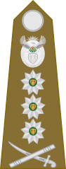 Lieutenant general[49](South African Army)
