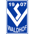 Sv Waldhof Mannheim: Geschichte, Mannschaft, Trainer