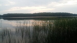 Saarijärvi (Espoo)