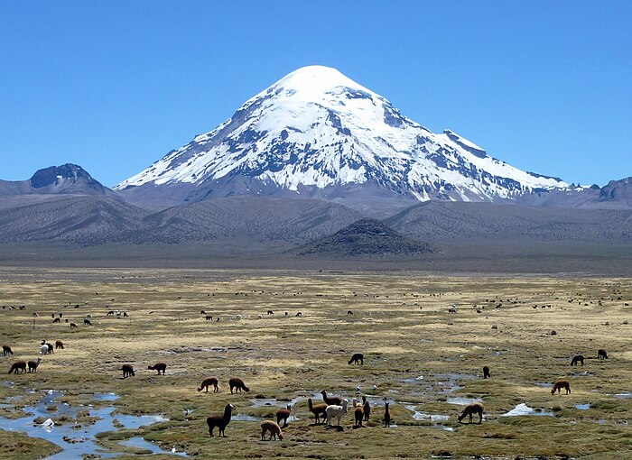 Nevado Sajama is de hoogste berg in Bolivia. Het is een uitgedoofde stratovulkaan die dankzij de grote hoogte (6542 m) relatief los staat van andere bergen. De Nevado Sajama is onderdeel van het Andesgebergte.