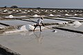 * Nomination A salt worker works at the salt pans of Marakkanam in Tamilnadu--Dey.sandip 17:05, 2 October 2021 (UTC) * Promotion Good quality. --Kritzolina 08:46, 4 October 2021 (UTC)