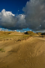 Sand dunes Curonian.jpg