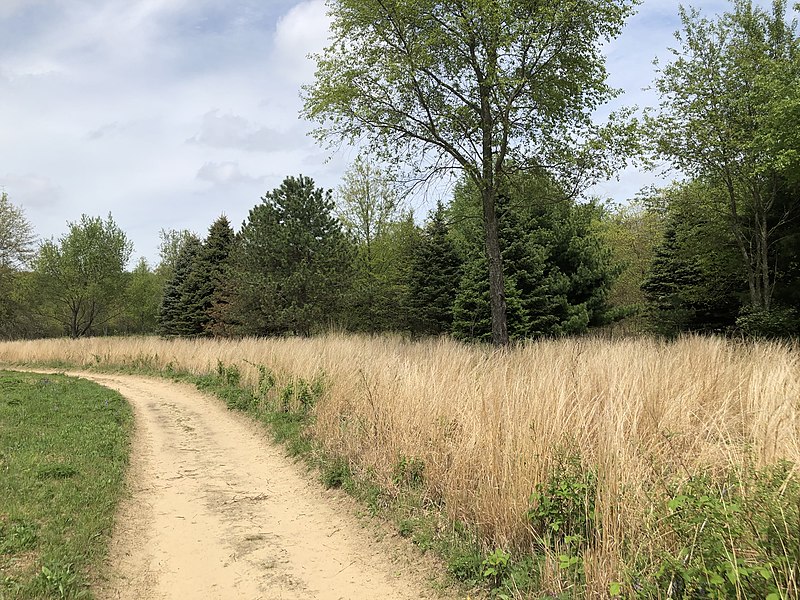 File:Sandy Path.jpg