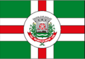 São Bento do Sapucaí - Drapeau