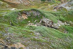 Farbfoto der Ruinen einer Steinwohnung in der Mulde aus mit Flechten bedeckten Felsvorsprüngen.