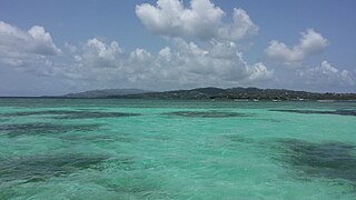 <span class="mw-page-title-main">Buccoo Reef</span> Coral reef ecosystem of Tobago