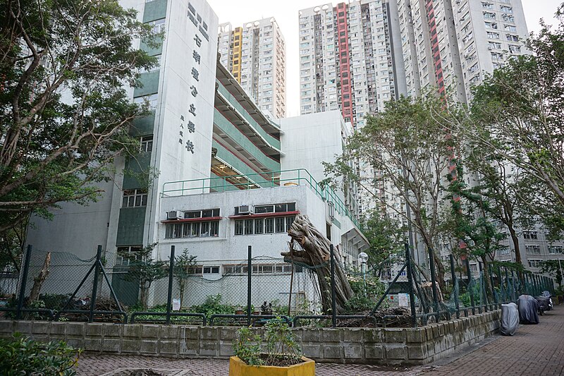 File:Shek Wu Hui public school destruction by Super Typhoon Mangkhut.jpg