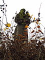 Statue of St.  Antony