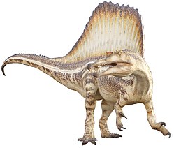 Spinosaurus-Museu-Blau.jpg
