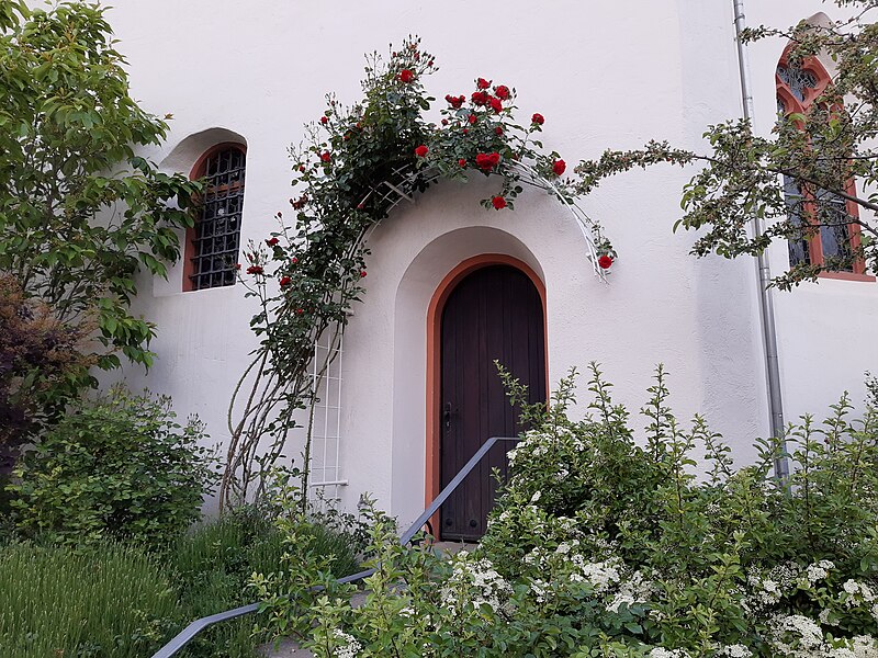 File:St. Maria Himmelfahrt, Hallgarten, entrance with roses.jpg