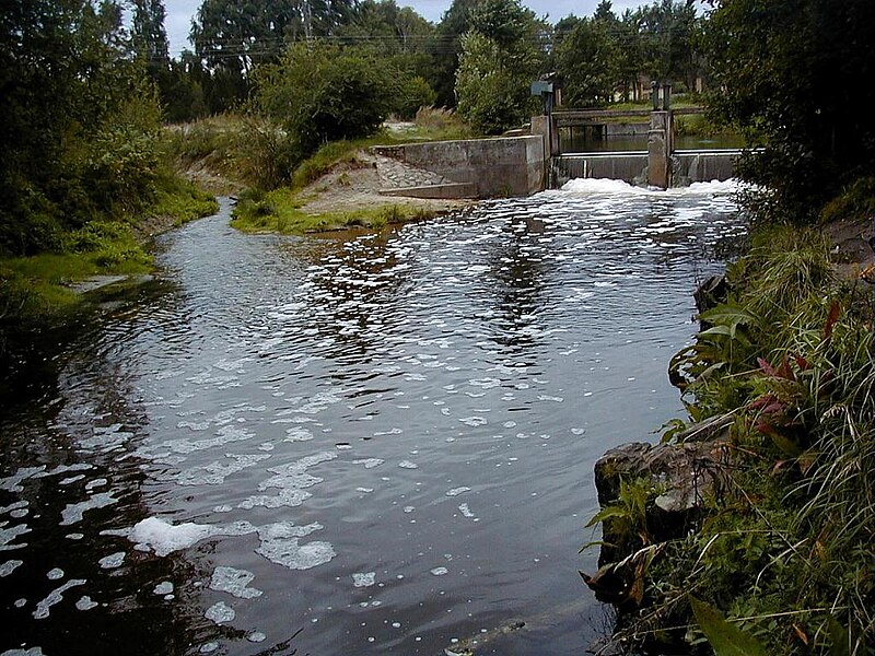 File:Starpiņupe pie Lapmežciema 2001-09-09 - panoramio.jpg