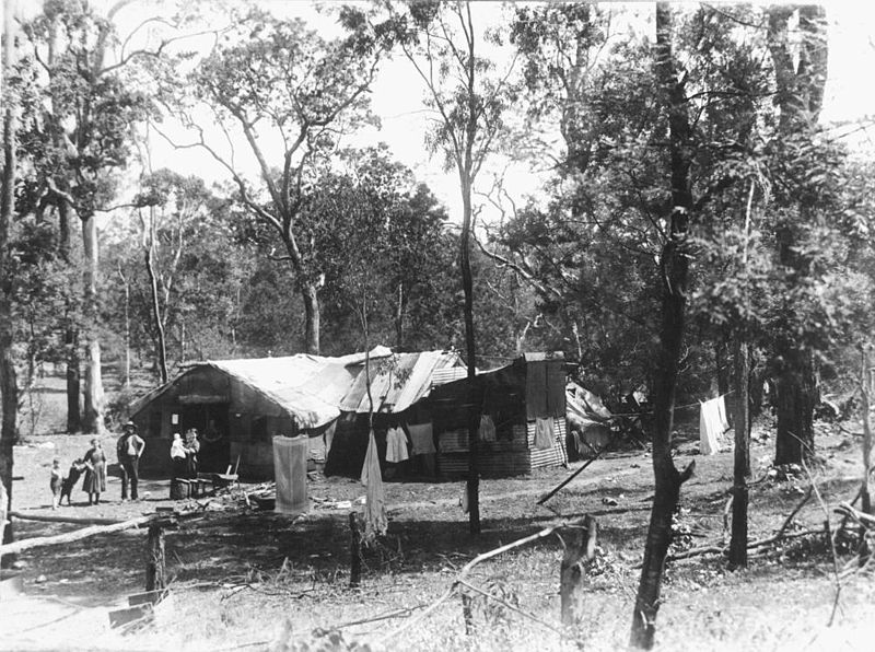 File:StateLibQld 1 96792 Rough bush dwelling, ca. 1910.jpg