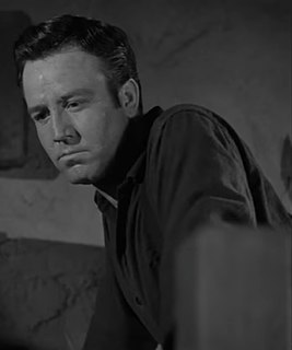 <span class="mw-page-title-main">Steve Brodie (actor)</span> American actor (1919-1992)