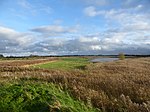 Stodmarsh SSSI