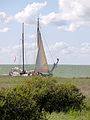 Stoenckherne nabij het IJsselmeer