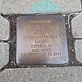 image=File:Stolperstein_Berthold_Kahn.jpg