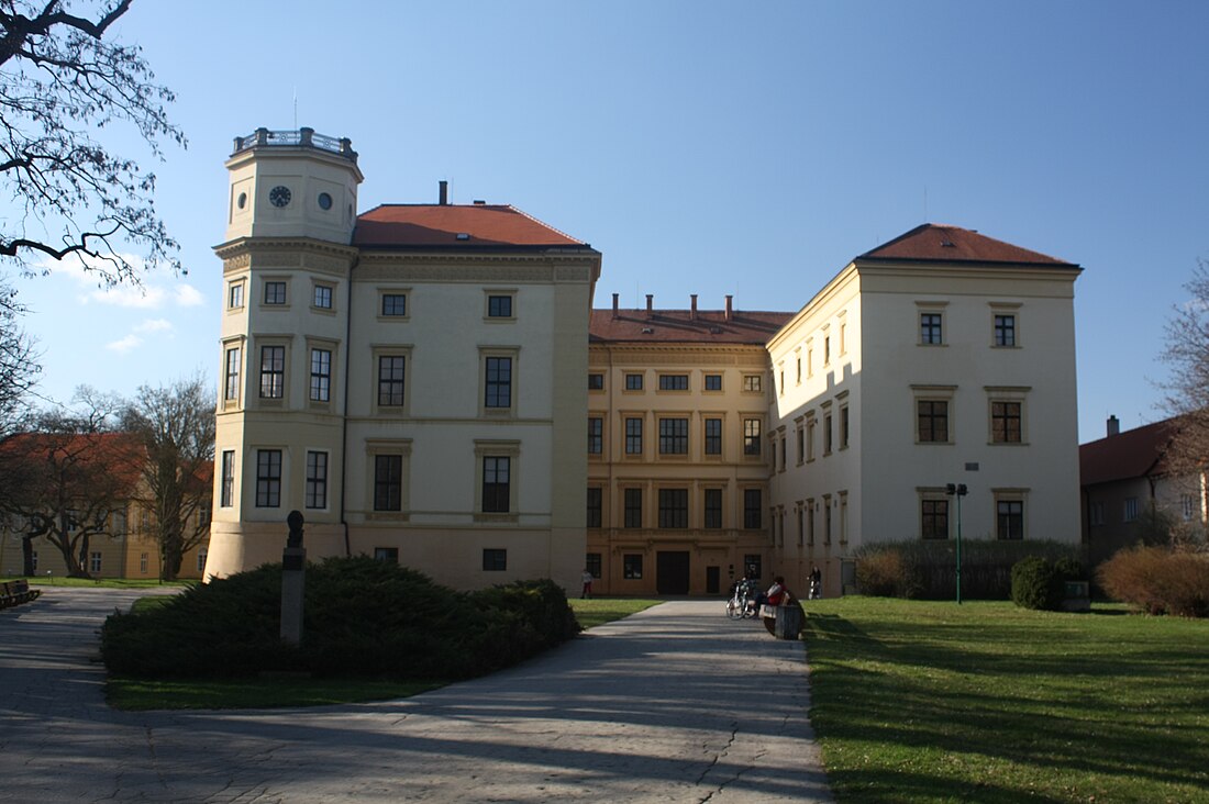 File:Strážnice - zámek (2).JPG