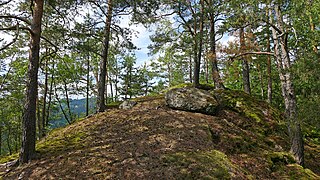 Am Gipfel unter Bäumen der Burgstall Strafenberg. 2023