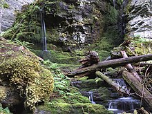 Coal Creek, Coeur d'Alene National Forest, Idaho Stream running into Coal Creek, Coeur d' Alene National Forest, Idaho (27533929446).jpg