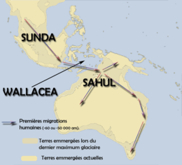 Sunda-sahul-wallacea-migration.png