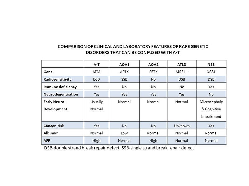 File:Table Comparison of rare genetic disorders that can be confused with A-T revised.jpg