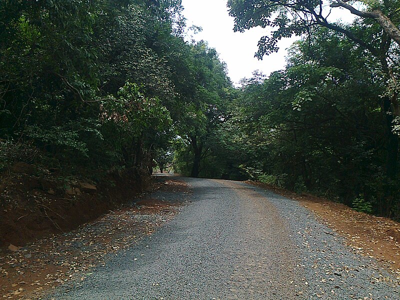 File:Tamhini to lonavala 150.jpg