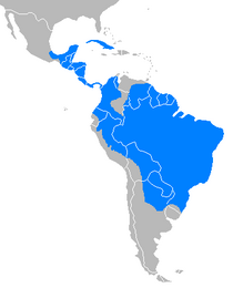 Distribución del pecarí barbiblanco