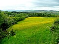 The Monnow valley 3 - geograph.org.uk - 1315209.jpg