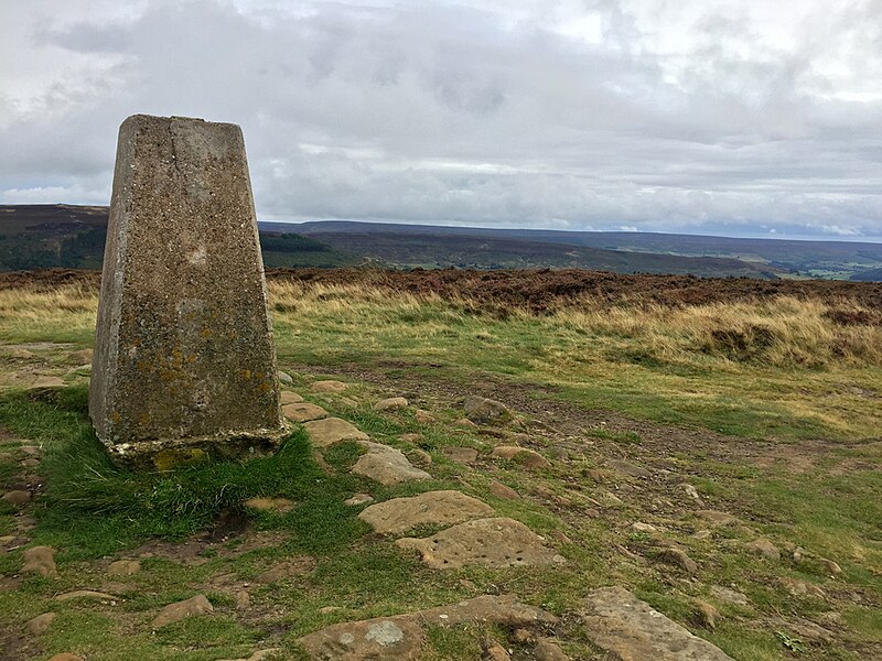 File:The top of Carlton Moor - geograph.org.uk - 5931736.jpg