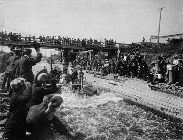 The Royal party running the Chaudière timber slide on a timber crib, September 1901