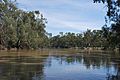 English: Murray River at Tooleybuc, New South Wales