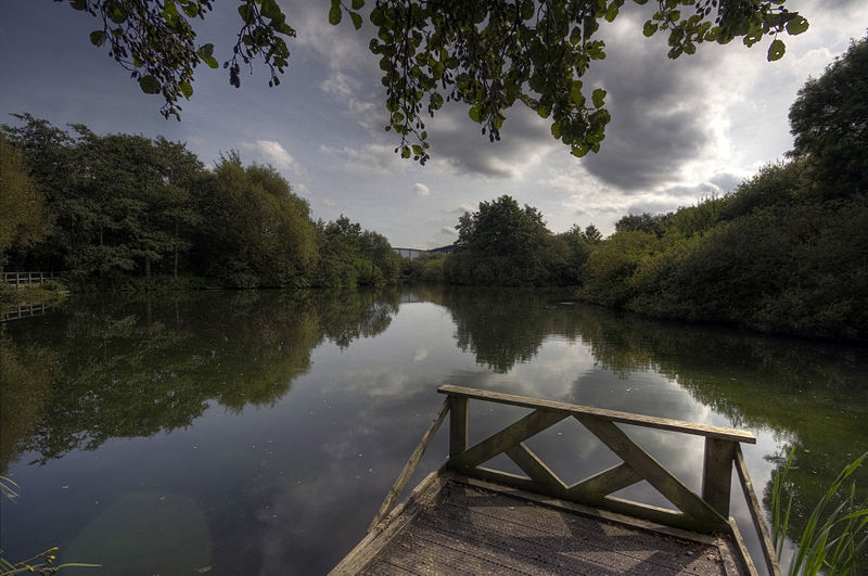 File:Trafford ecology park.jpg