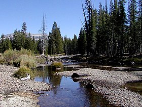 A placid autumn Tuolumne River seen at the upper end of the meadows.