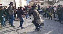 URSO-DANÇANDO-PRATS-DE-MOLLO-1024x576-1.jpg