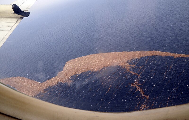 File:US Navy 110314-N-3997W-062 Debris float in the Pacific Ocean off the coast of Japan after a 9.0 magnitude earthquake and subsequent tsunami struck.jpg