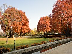 Verinag Garten im Herbst