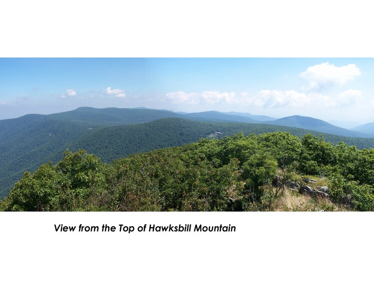 File:View from top of hawksbill.tif