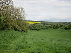 View into Wardale - geograph.org.uk - 4492584.jpg