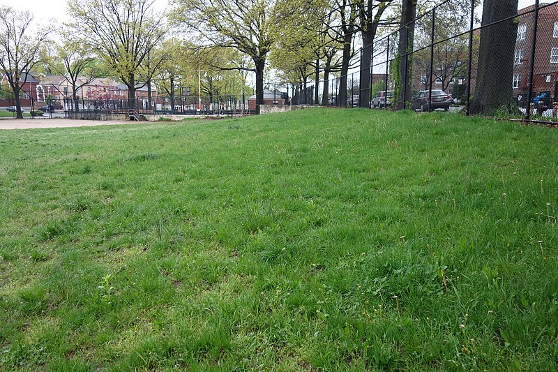 File:Vleigh Place Playground td (2019-05-05) 15 - Baseball Fields.jpg