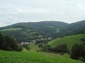 Waldskopf2.jpg 