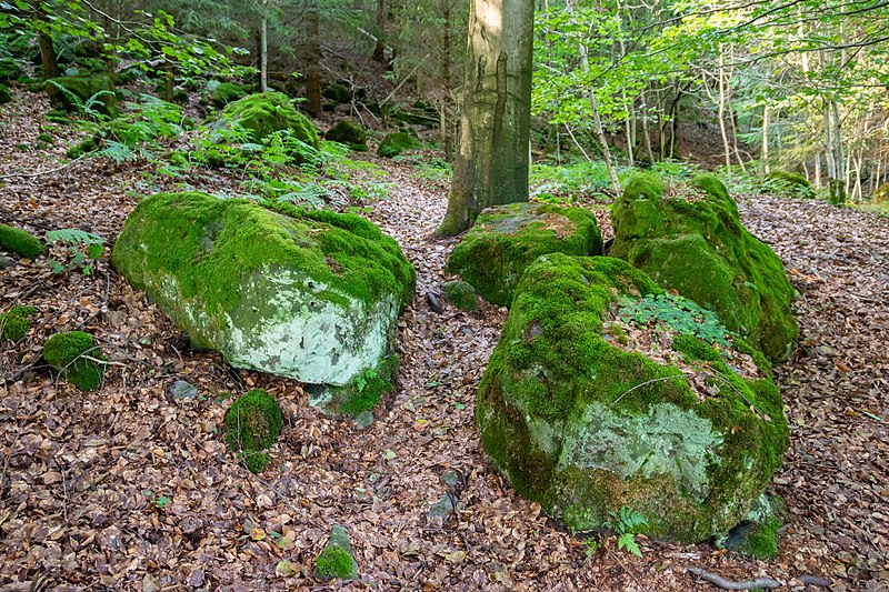 File:Warburg - 2017-08-13 - Klippen und Felsenmeer bei Hardehausen (10).jpg