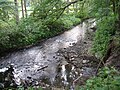 Im Naturschutzgebiet Holzhauser Bruch