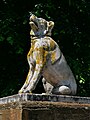 One of the dogs of Alcibiades in Victoria Park.