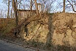 Geological outcrop "beach formation / flysch"